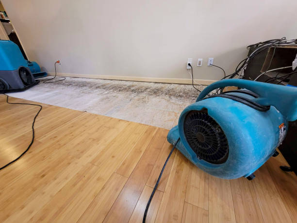 Professional Water Damage Repair technician working in Williamsburg, PA